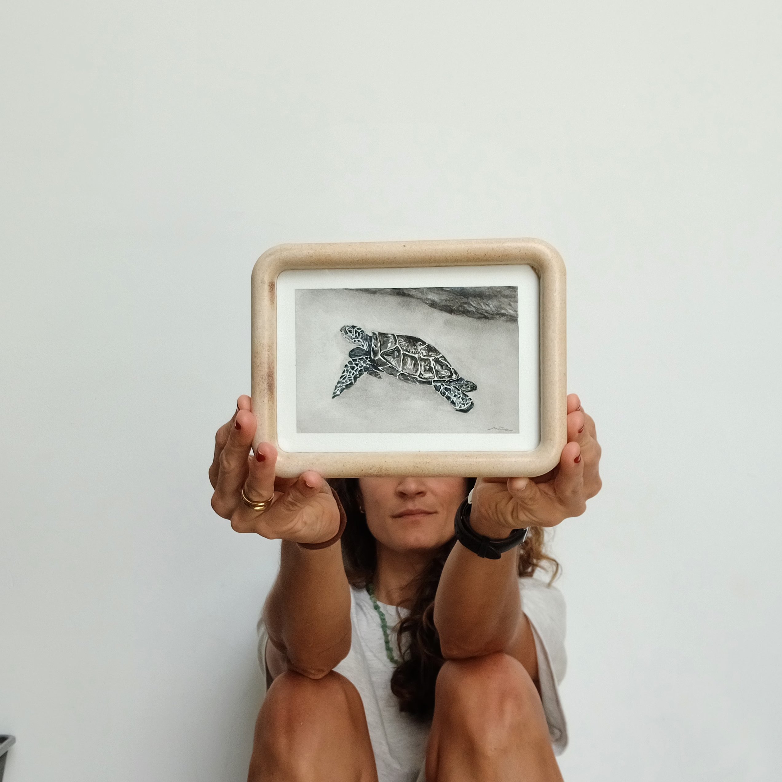 Tortuga 2